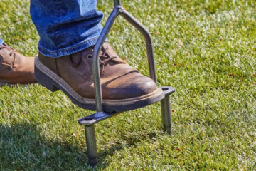 Lawn Aeration